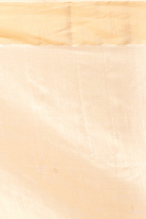 Handwoven Tassar Jala Saree