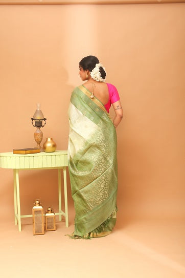 Handwoven Tassar Jala Saree