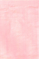Handwoven Tassar Jala Saree