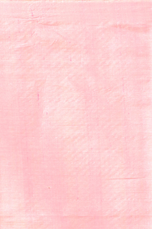 Handwoven Tassar Jala Saree